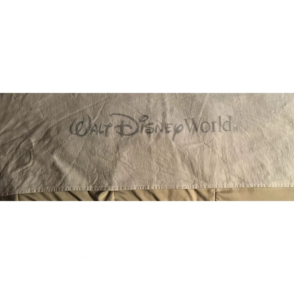 Disney walt world